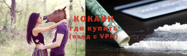 бошки Новодвинск