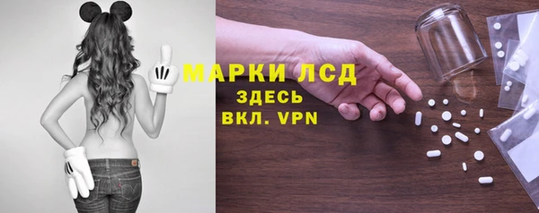 гидропоника Новозыбков