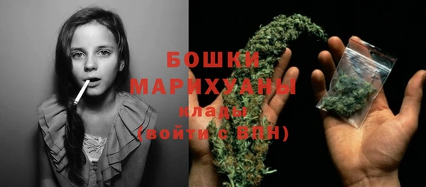 бошки Новодвинск