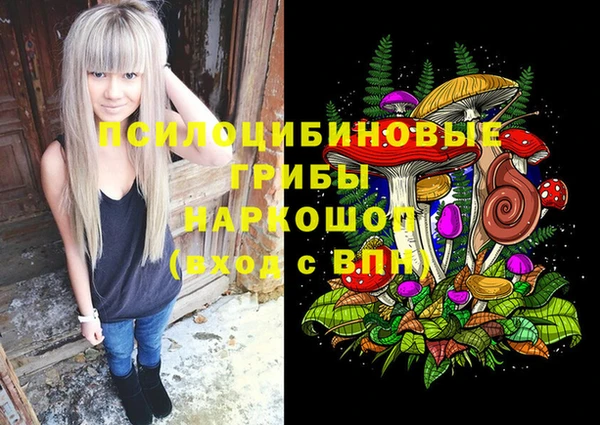 гидра Нея