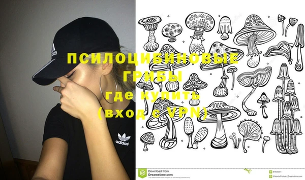 бошки Новодвинск