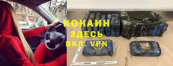 бошки Новодвинск