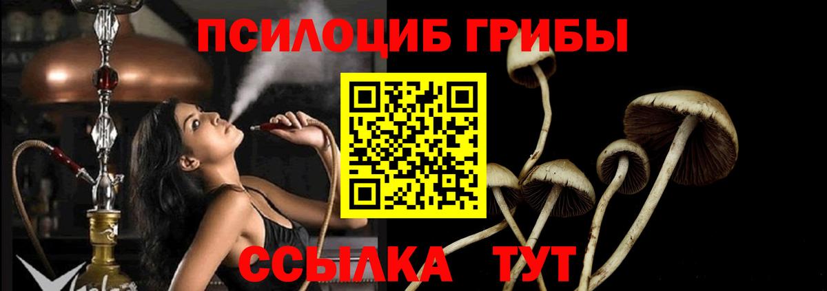 Галлюциногенные грибы GOLDEN TEACHER  Псилоцибиновые грибы GOLDEN TEACHER  Менделеевск  что такое наркотик  Вход с VPN 